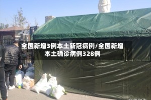 全国新增3例本土新冠病例/全国新增本土确诊病例328例