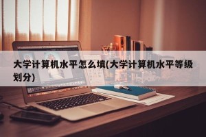 大学计算机水平怎么填(大学计算机水平等级划分)