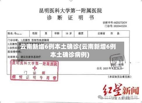 云南新增6例本土确诊(云南新增6例本土确诊病例)-第1张图片