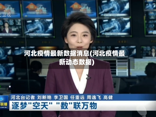 河北疫情最新数据消息(河北疫情最新动态数据)-第2张图片