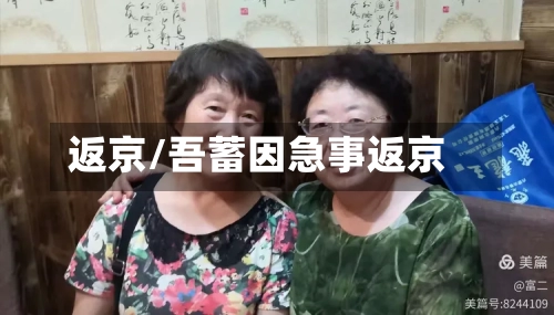 返京/吾蓄因急事返京-第1张图片