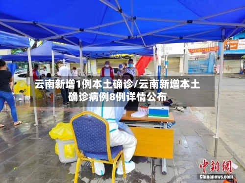 云南新增1例本土确诊/云南新增本土确诊病例8例详情公布-第1张图片